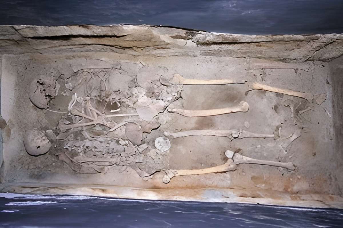 Musée Pierre Borrione 