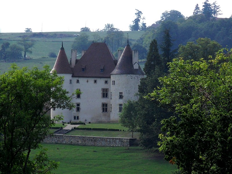 Photo de Château de Verseilles