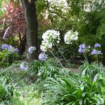 Maison de Clemenceau Musée Clemenceau à Paris