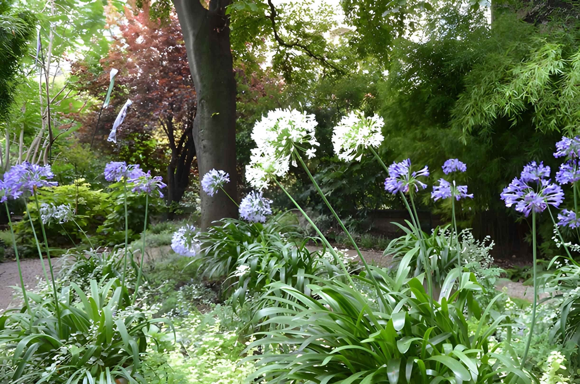 Maison de Clemenceau (Musée Clemenceau) à Paris