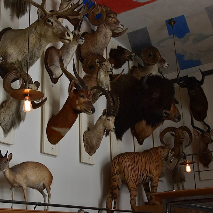 Photo de Musée de la chasse et de la nature
