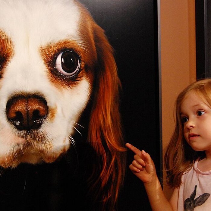 Photo de Musée de la chasse et de la nature