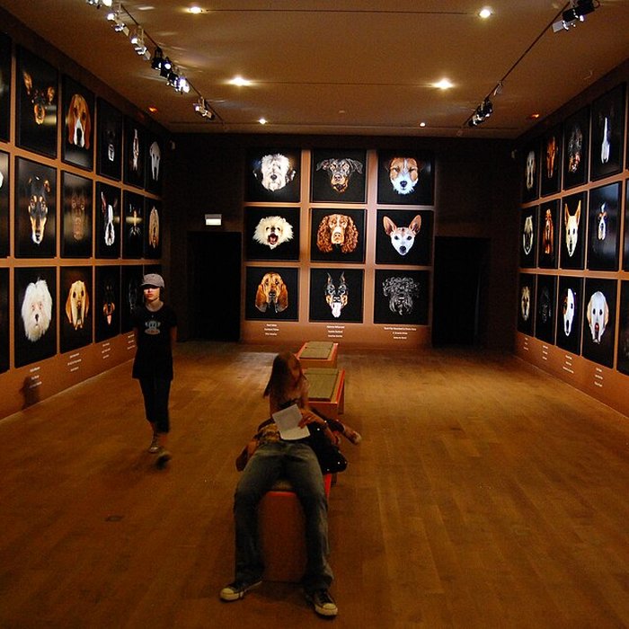 Photo de Musée de la chasse et de la nature