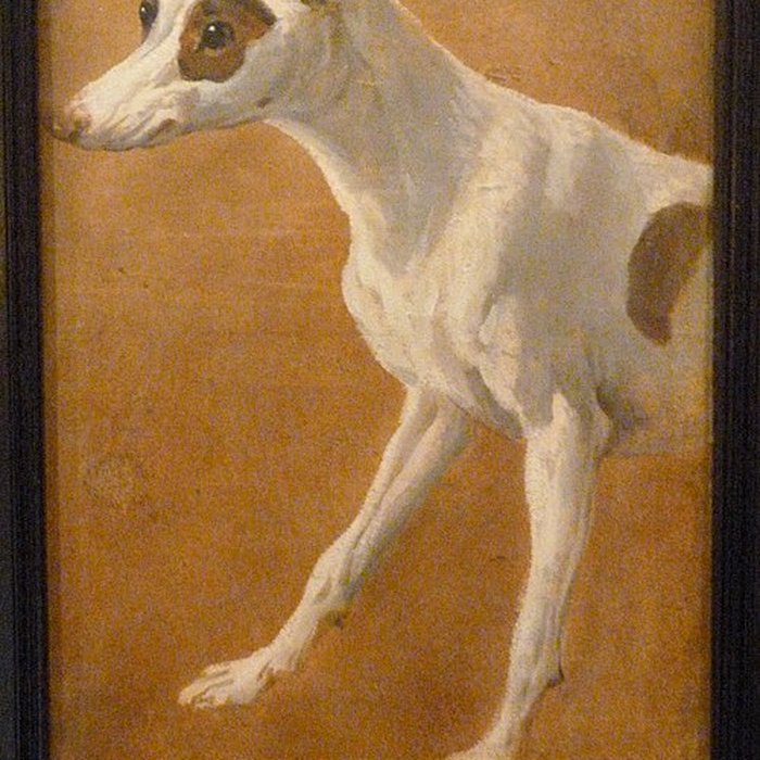 Photo de Musée de la chasse et de la nature