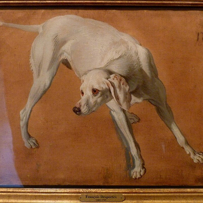 Photo de Musée de la chasse et de la nature