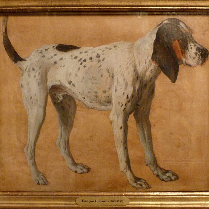 Photo de Musée de la chasse et de la nature