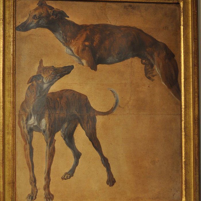 Photo de Musée de la chasse et de la nature