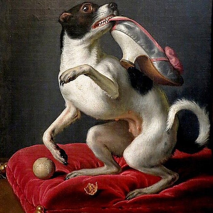 Photo de Musée de la chasse et de la nature