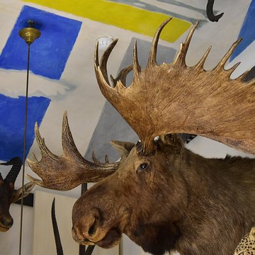 Musée de la chasse et de la nature