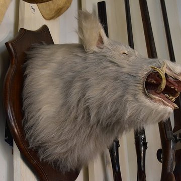 Musée de la chasse et de la nature