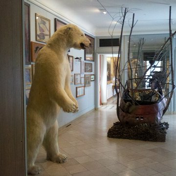 Musée de la chasse et de la nature