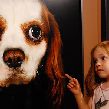 Musée de la chasse et de la nature