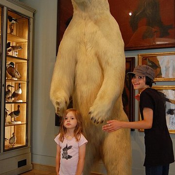 Musée de la chasse et de la nature