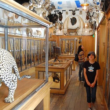 Musée de la chasse et de la nature