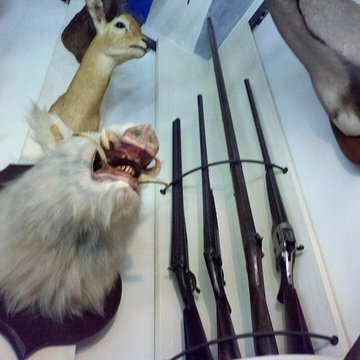 Musée de la chasse et de la nature