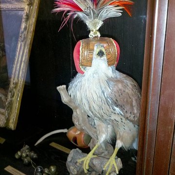 Musée de la chasse et de la nature