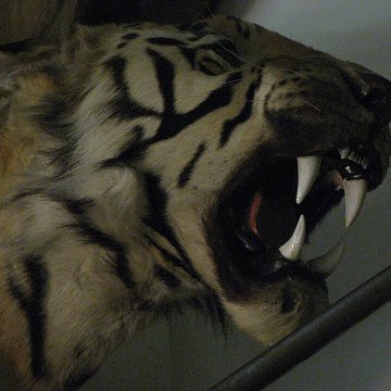 Musée de la chasse et de la nature