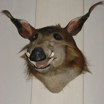 Musée de la chasse et de la nature