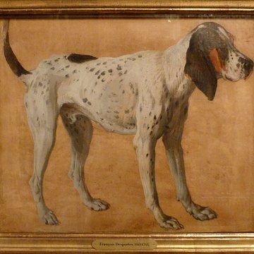 Musée de la chasse et de la nature