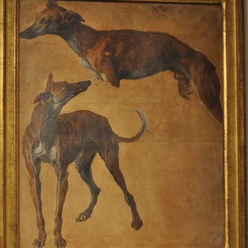 Musée de la chasse et de la nature