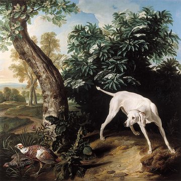 Musée de la chasse et de la nature