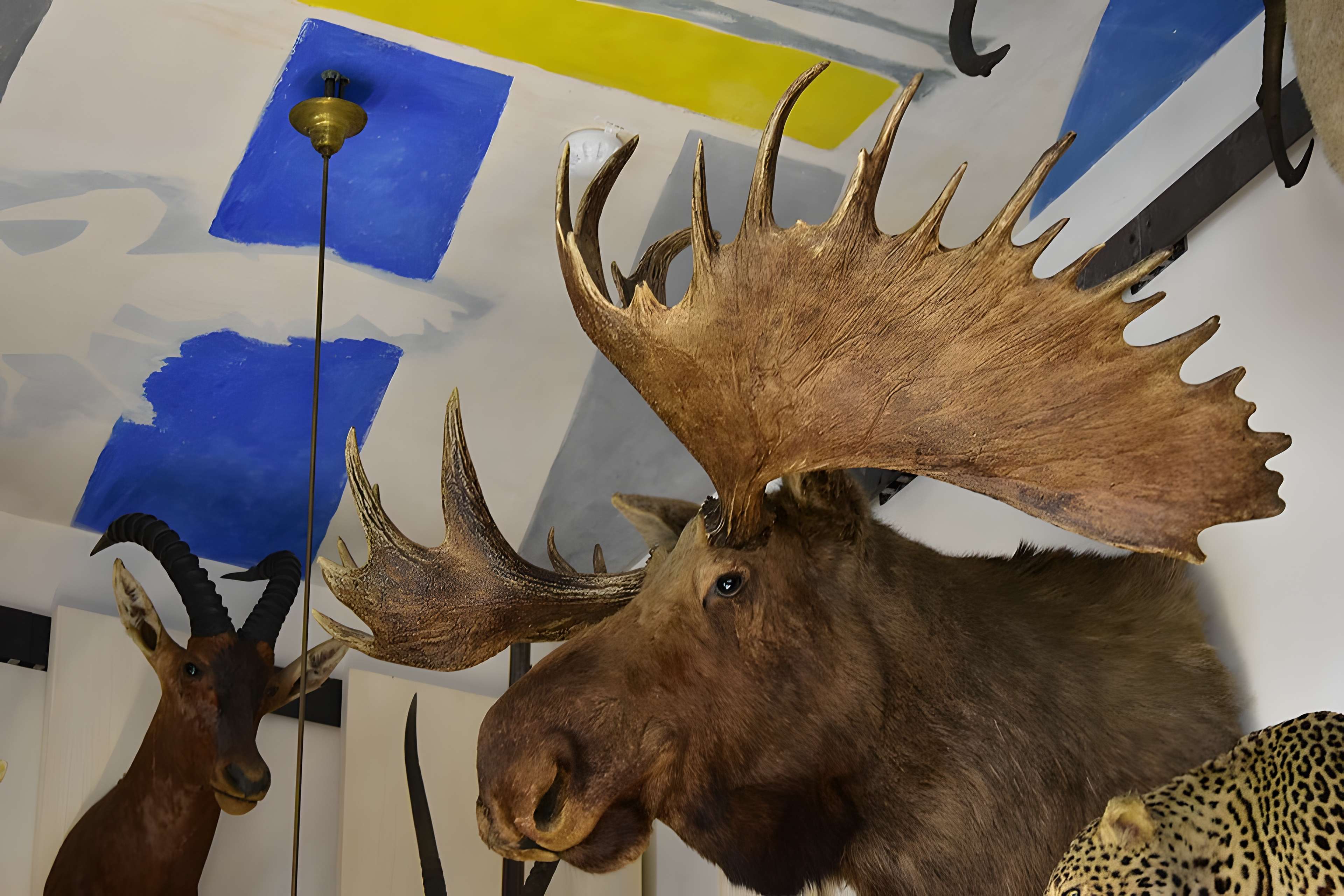 Musée de la chasse et de la nature