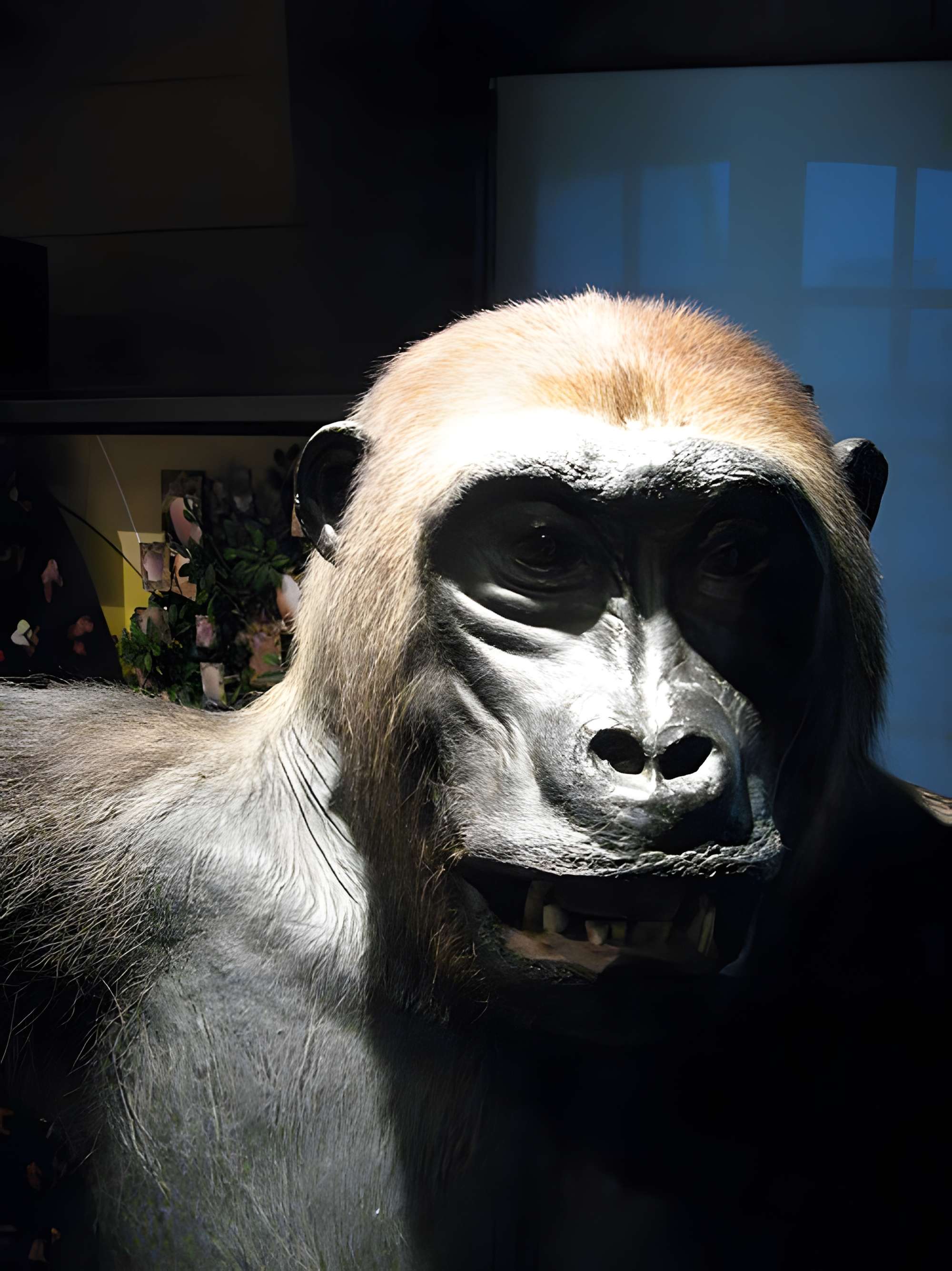 Musée de la chasse et de la nature