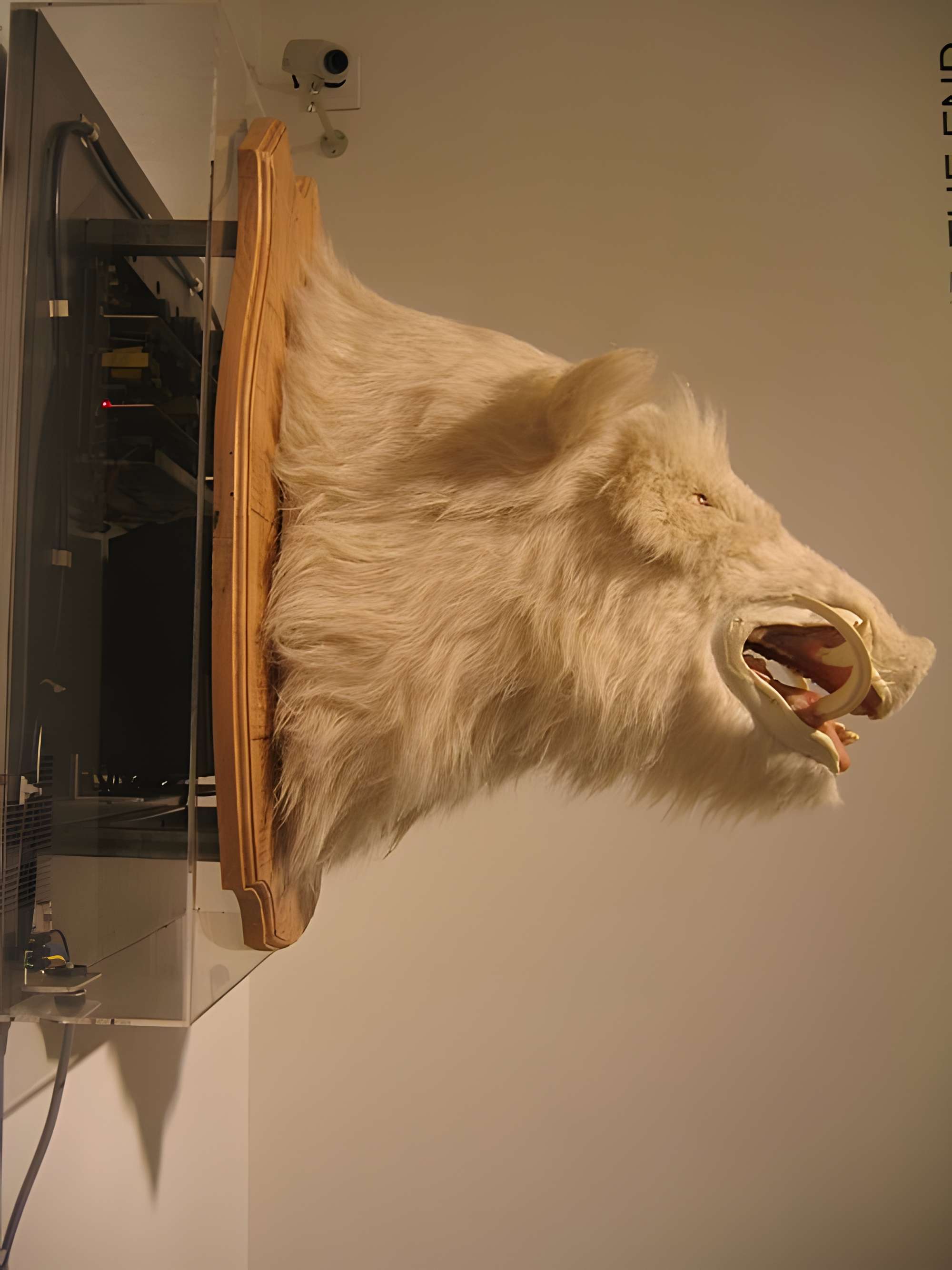 Musée de la chasse et de la nature