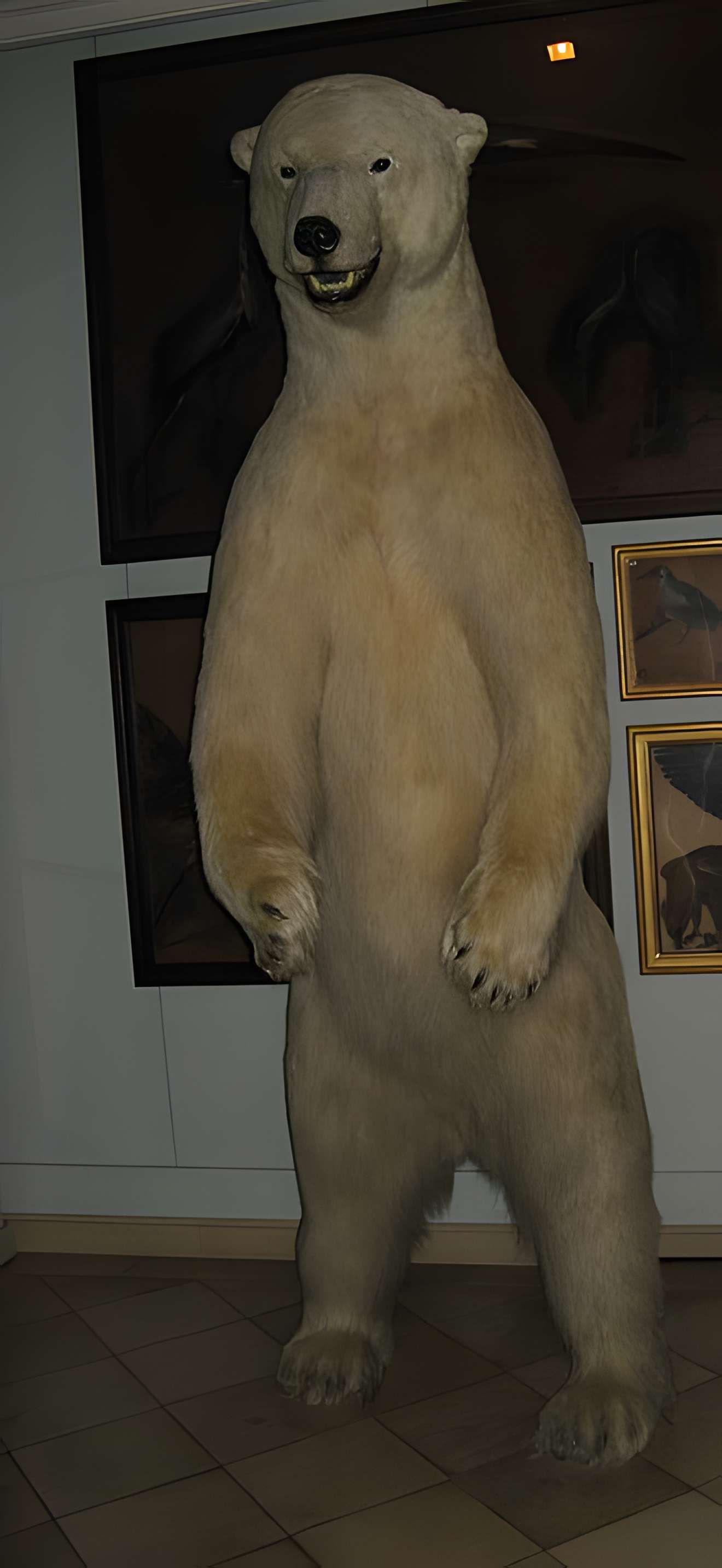 Musée de la chasse et de la nature