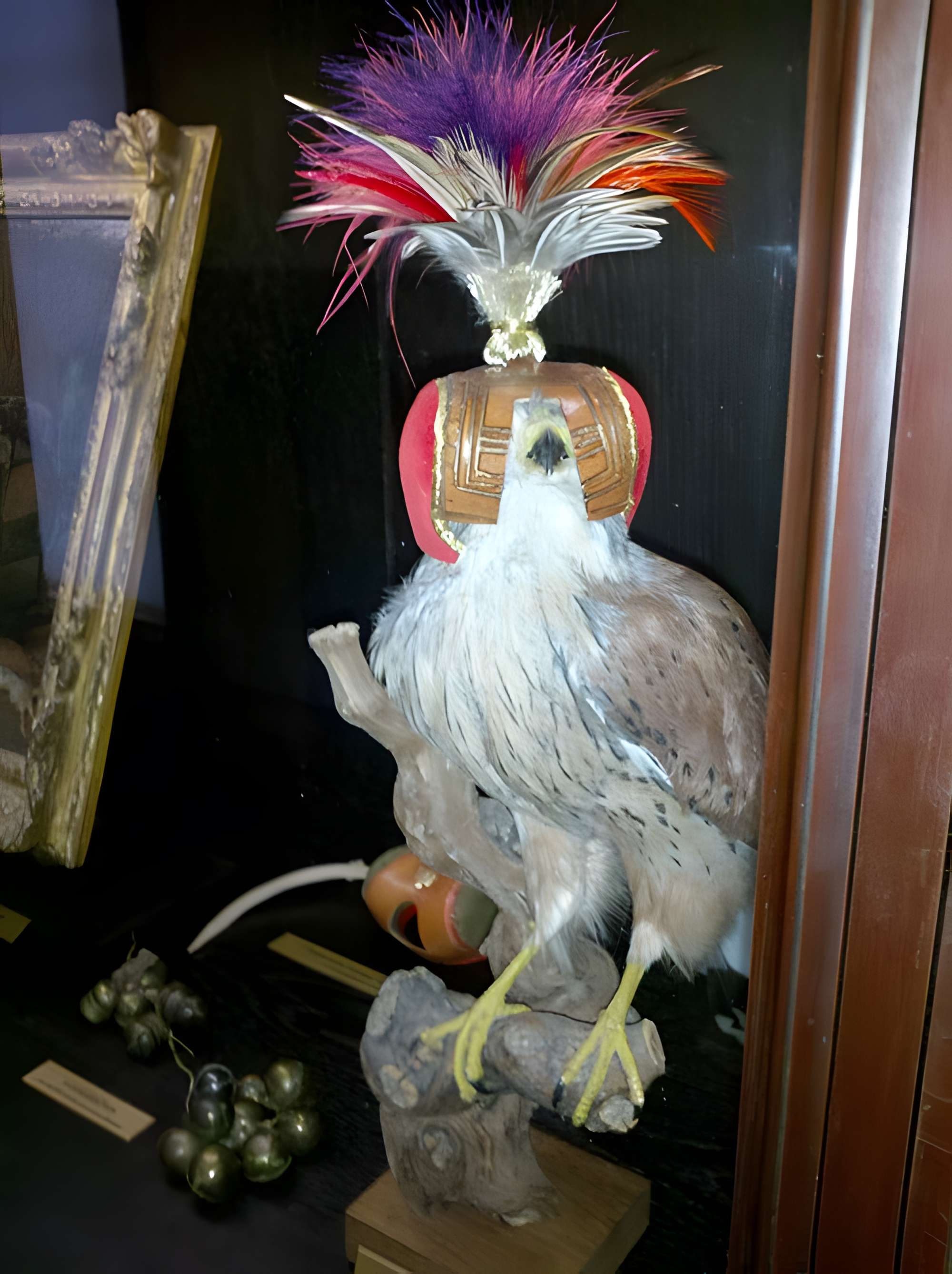 Musée de la chasse et de la nature