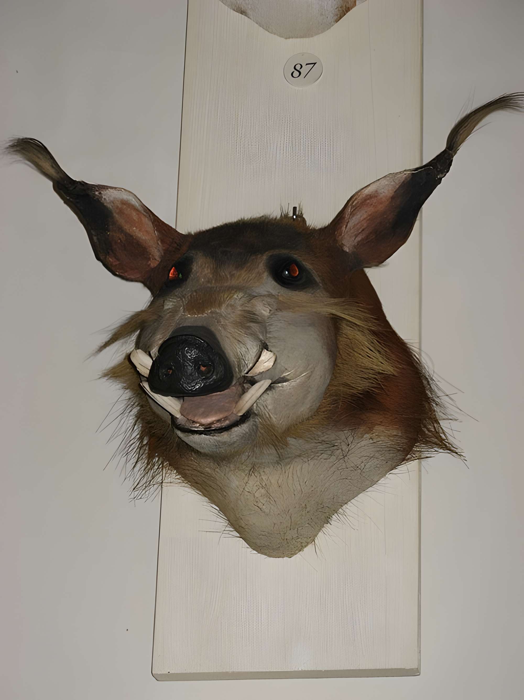 Musée de la chasse et de la nature