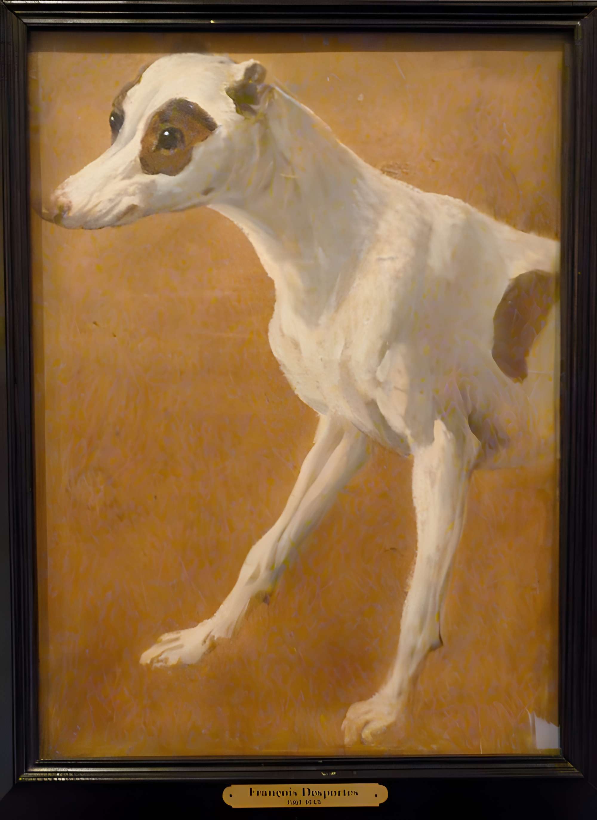 Musée de la chasse et de la nature