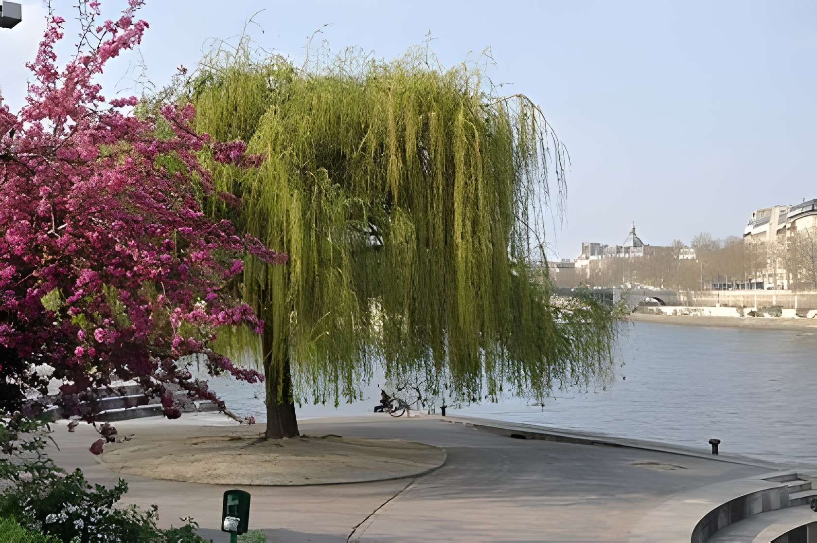 Musée de la sculpture en plein air - Paris 5ème Le jardin Tino-Rossi abritant le musée de la sculpture en plein air.