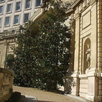 Musée Jacquemart-André
