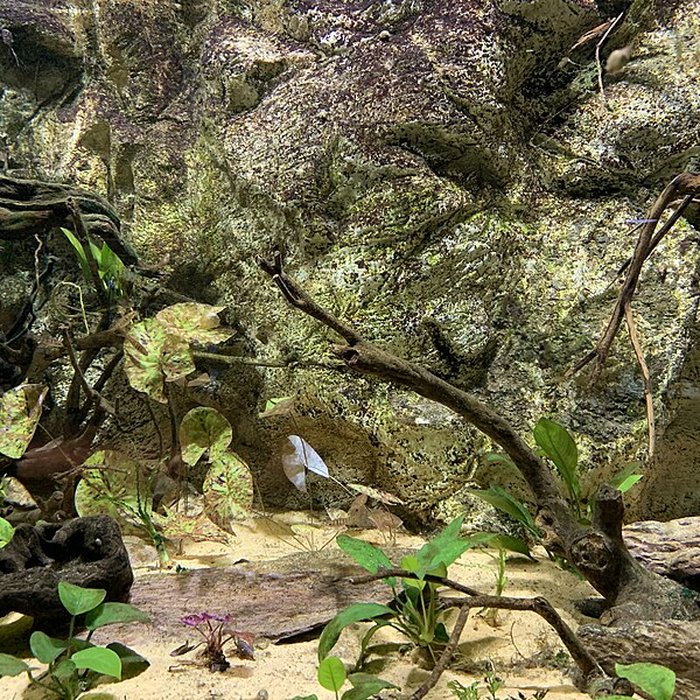 Photo de Ancien Musée National des Arts Africains et Océaniens, devenu Cité nationale de lhistoire de lImmigration