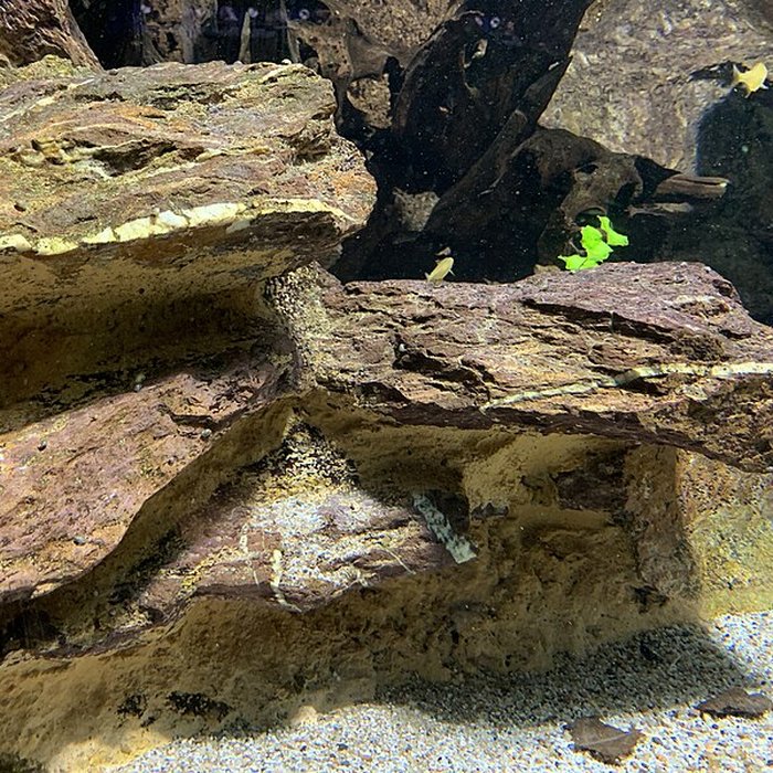 Photo de Ancien Musée National des Arts Africains et Océaniens, devenu Cité nationale de lhistoire de lImmigration