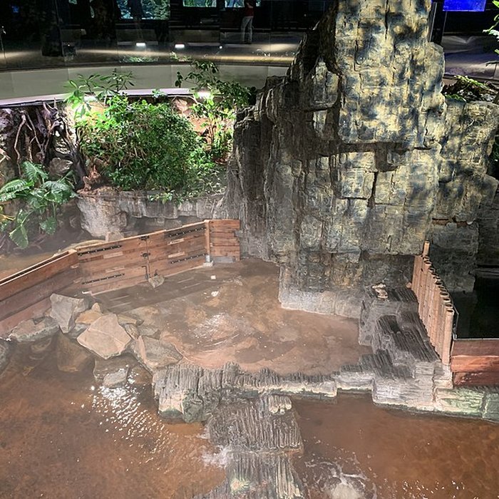 Photo de Ancien Musée National des Arts Africains et Océaniens, devenu Cité nationale de lhistoire de lImmigration