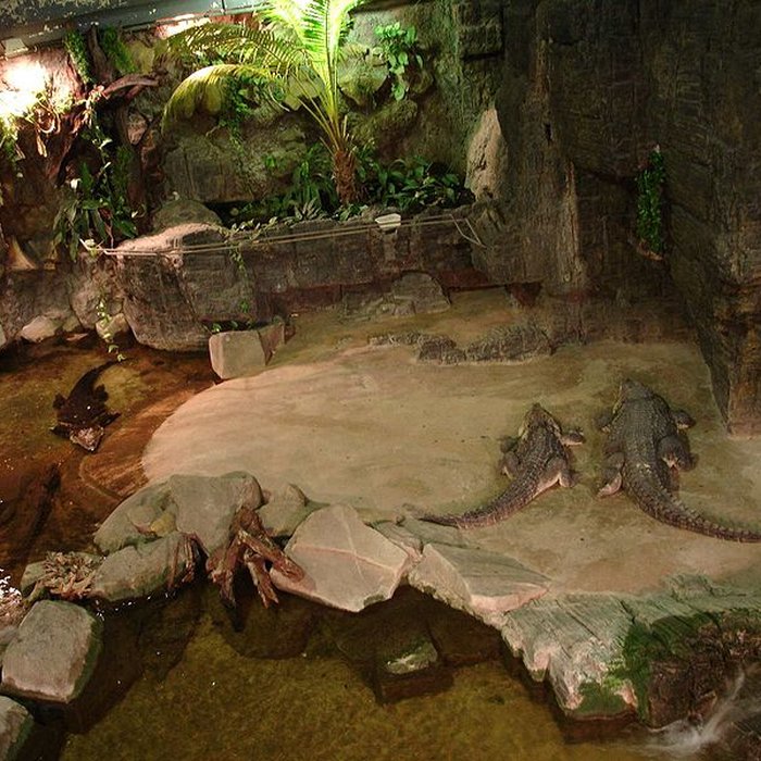 Photo de Ancien Musée National des Arts Africains et Océaniens, devenu Cité nationale de lhistoire de lImmigration