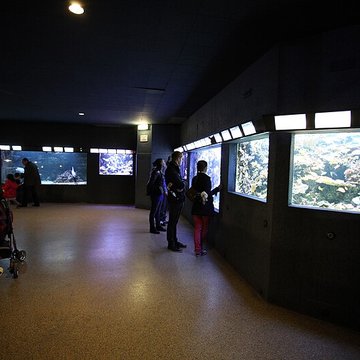 Ancien Musée National des Arts Africains et Océaniens, devenu Cité nationale de lhistoire de lImmigration