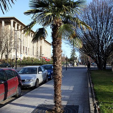 Ancien Musée National des Arts Africains et Océaniens, devenu Cité nationale de lhistoire de lImmigration