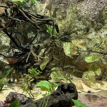 Ancien Musée National des Arts Africains et Océaniens, devenu Cité nationale de lhistoire de lImmigration
