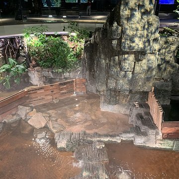 Ancien Musée National des Arts Africains et Océaniens, devenu Cité nationale de lhistoire de lImmigration