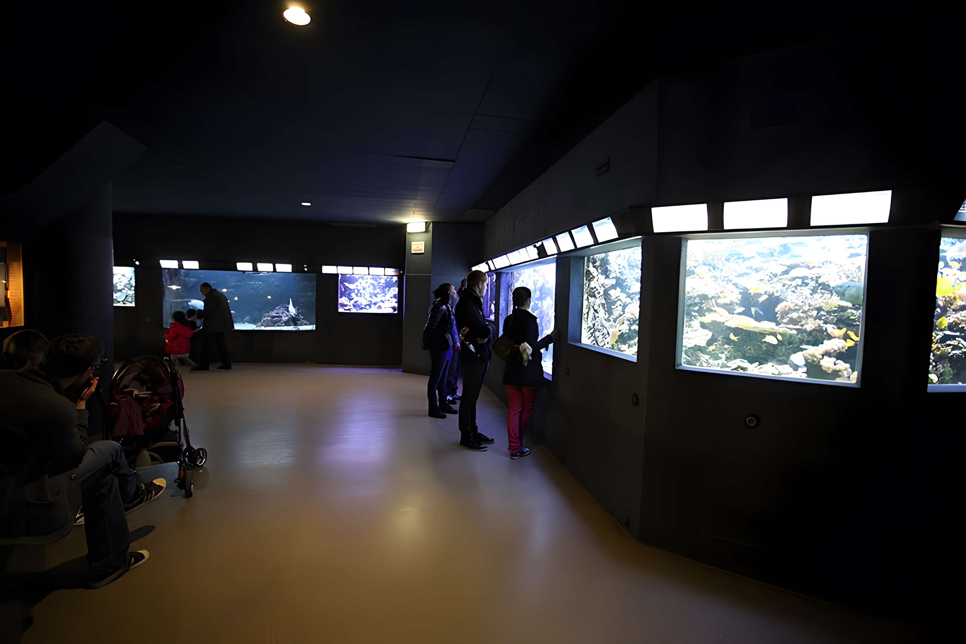 Ancien Musée National des Arts Africains et Océaniens, devenu Cité nationale de l'histoire de l'Immigration