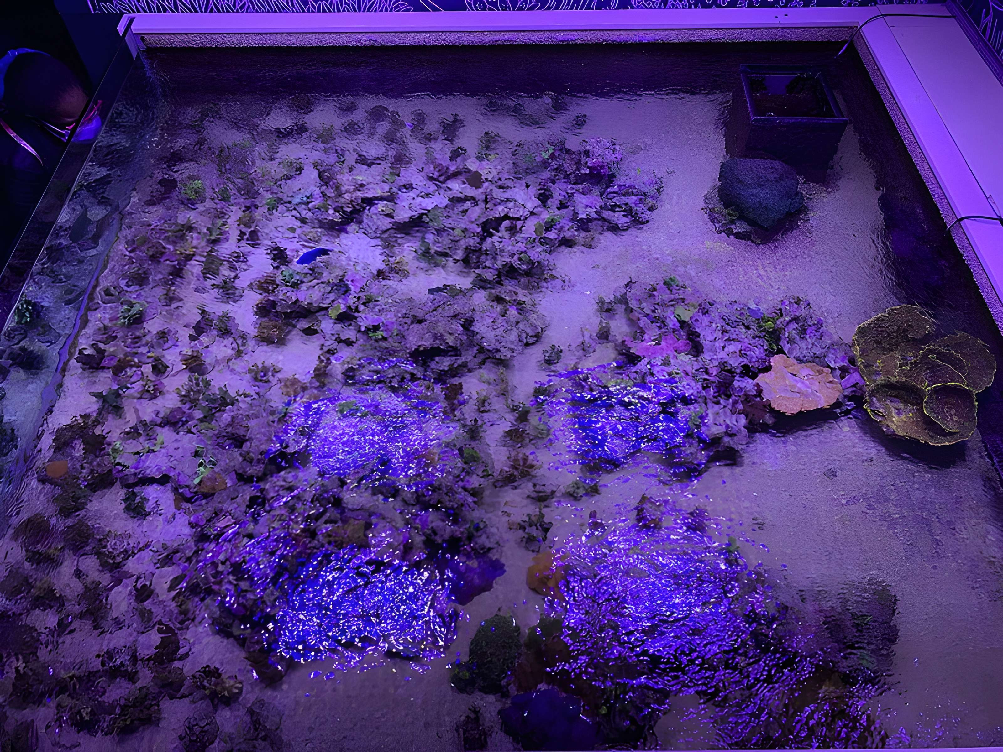 Ancien Musée National des Arts Africains et Océaniens, devenu Cité nationale de l'histoire de l'Immigration