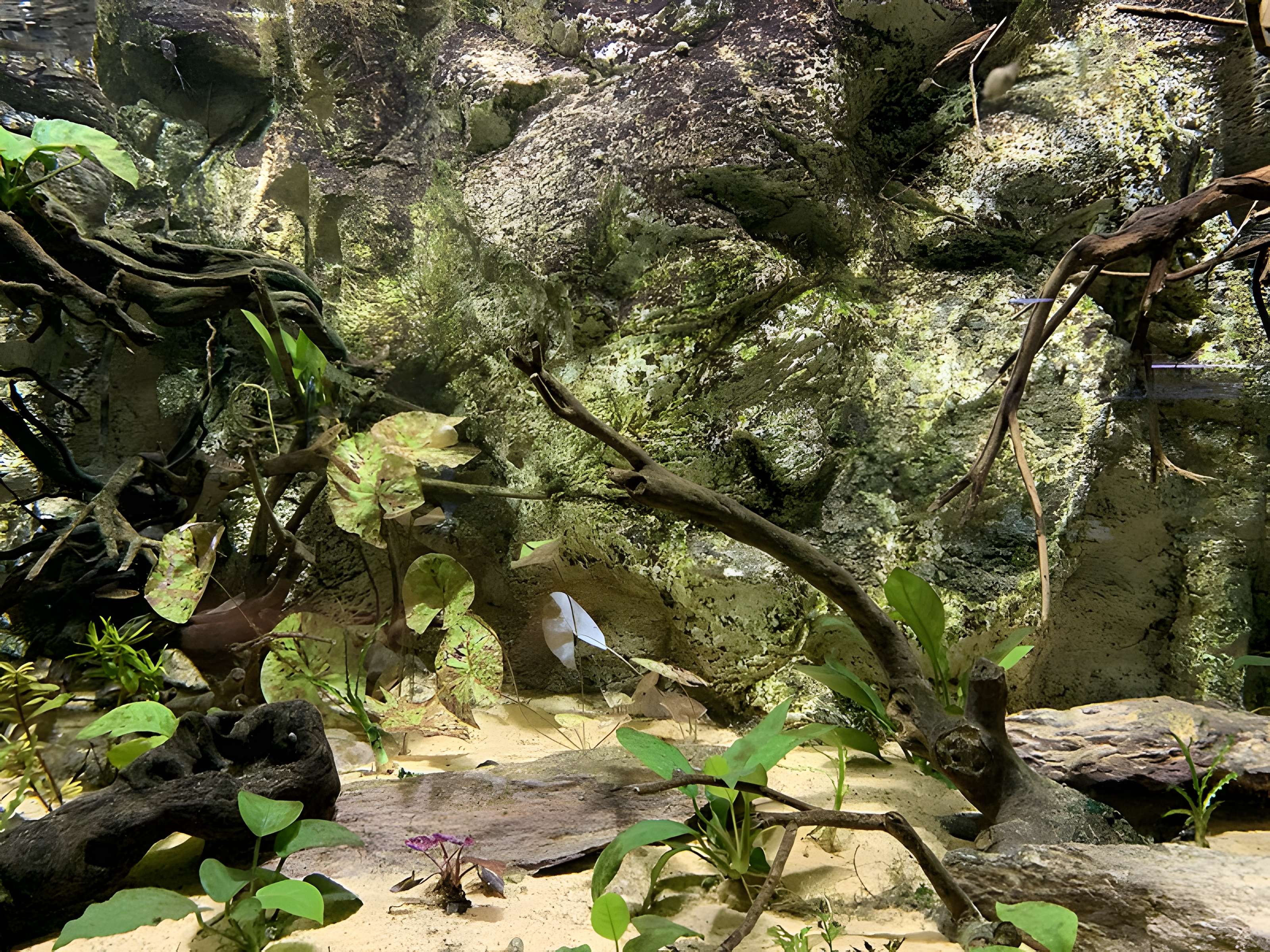 Ancien Musée National des Arts Africains et Océaniens, devenu Cité nationale de l'histoire de l'Immigration