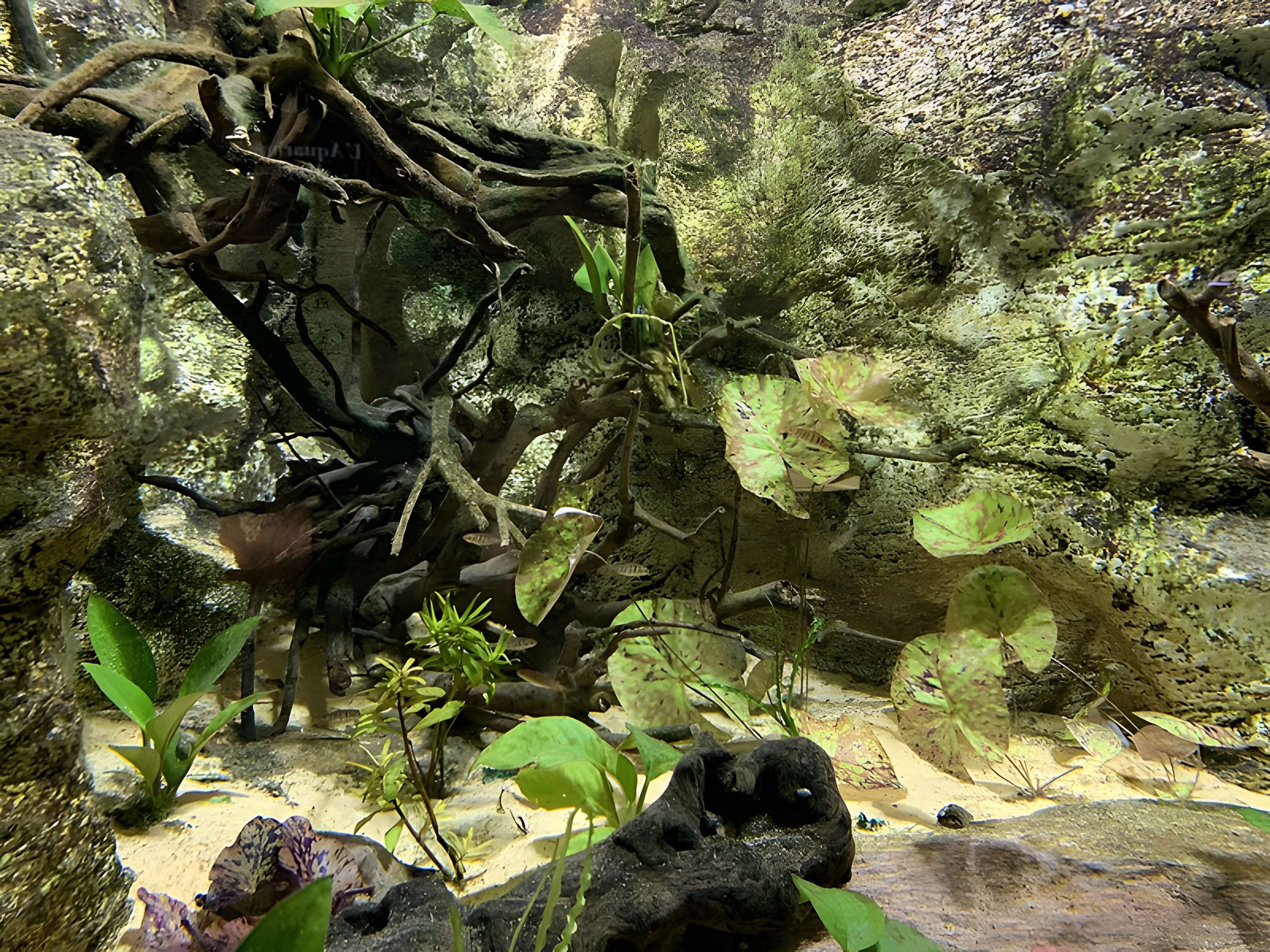 Ancien Musée National des Arts Africains et Océaniens, devenu Cité nationale de l'histoire de l'Immigration