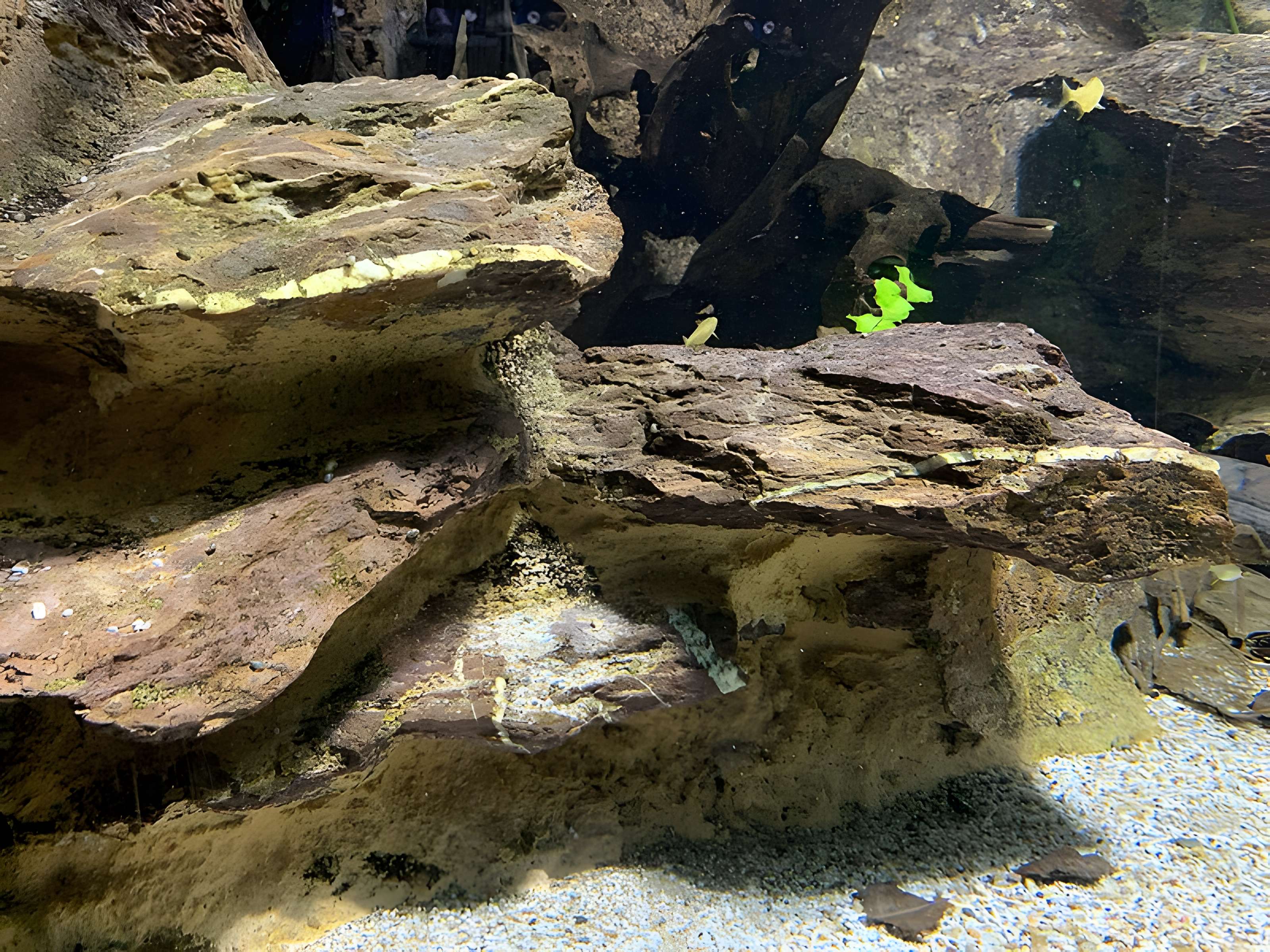 Ancien Musée National des Arts Africains et Océaniens, devenu Cité nationale de l'histoire de l'Immigration