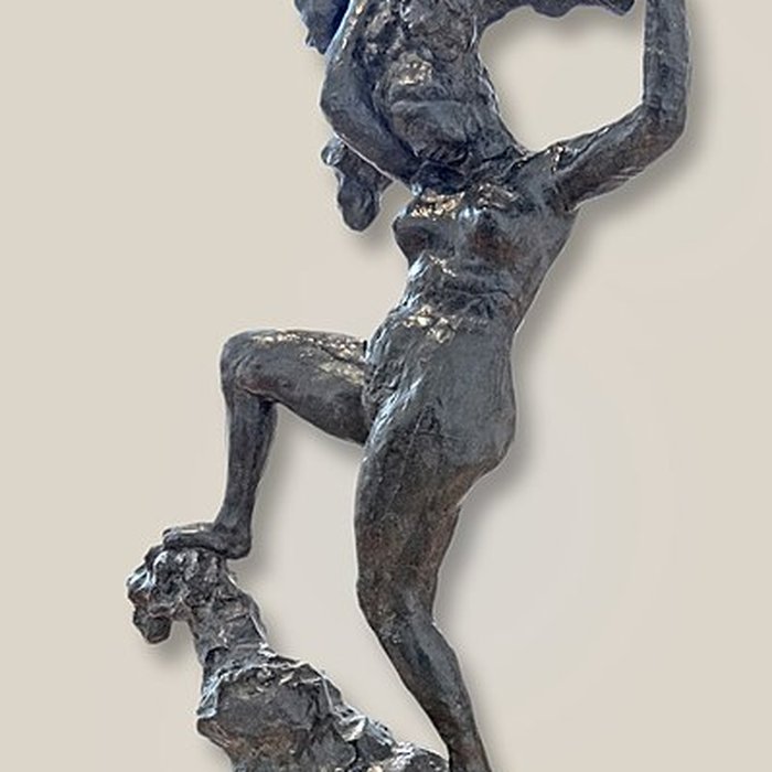 Photo de Musée Bourdelle