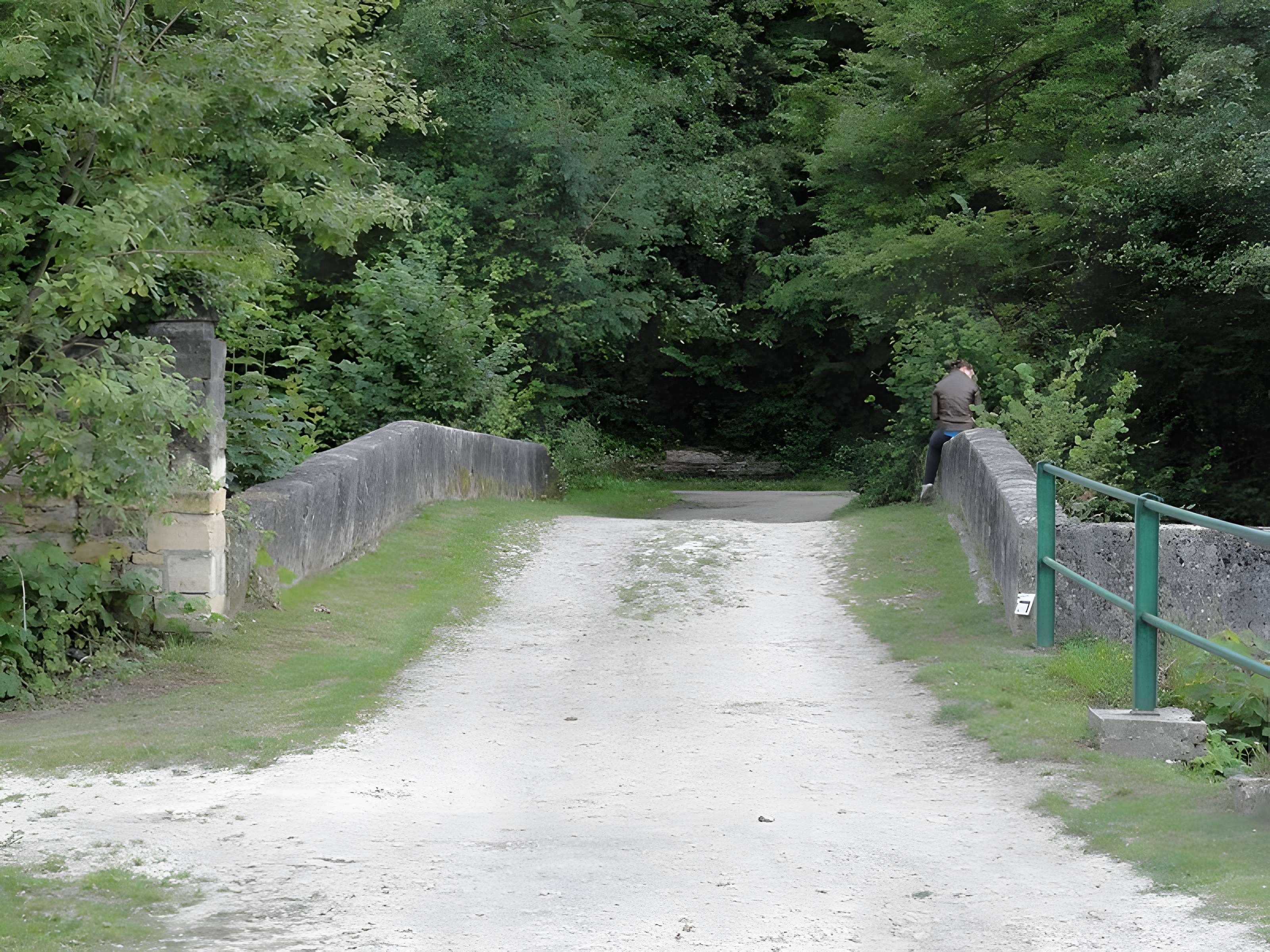 Château de Ville sur Saulx