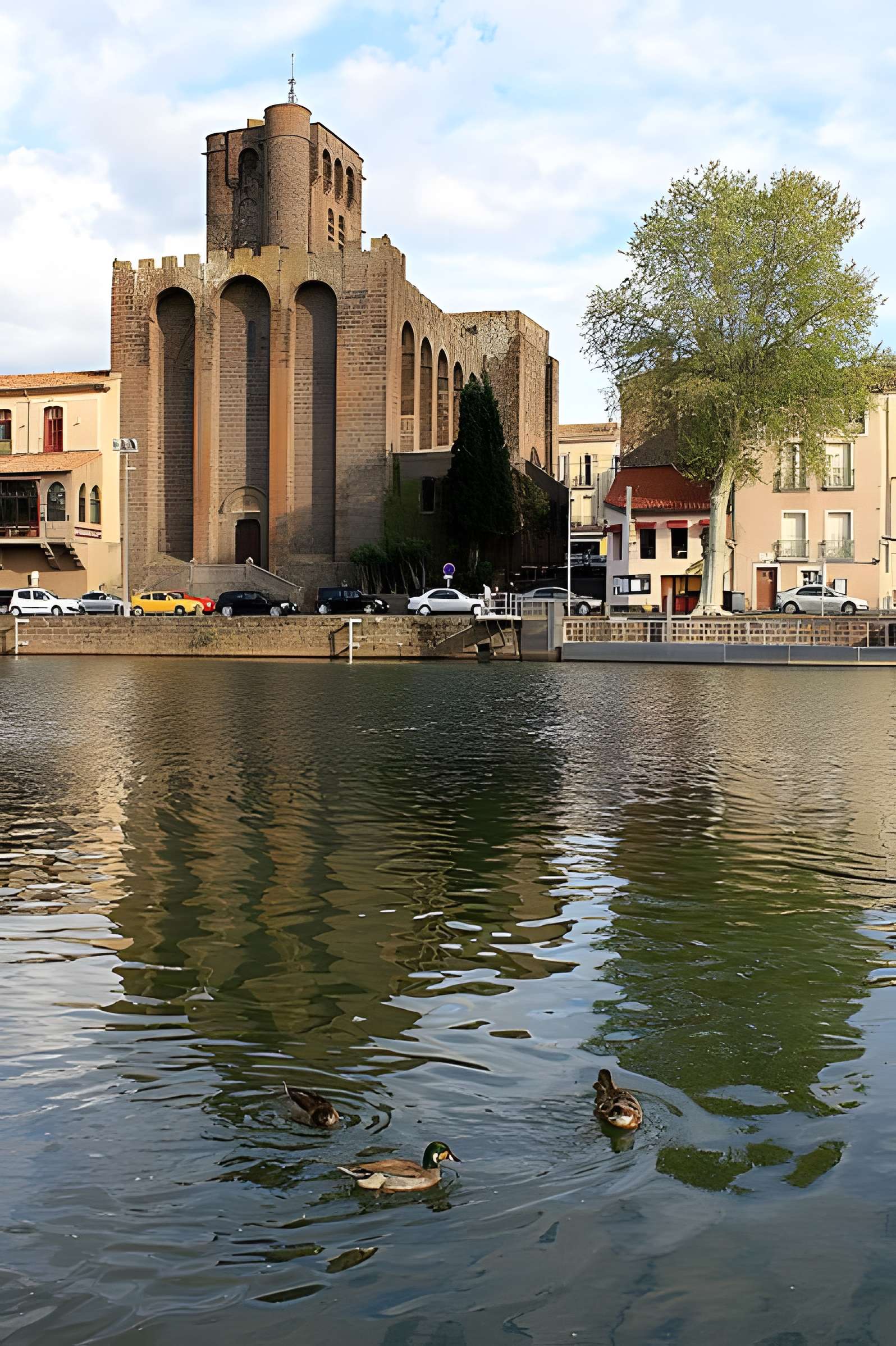 Cathédrale Saint-Étienne d'Agde
